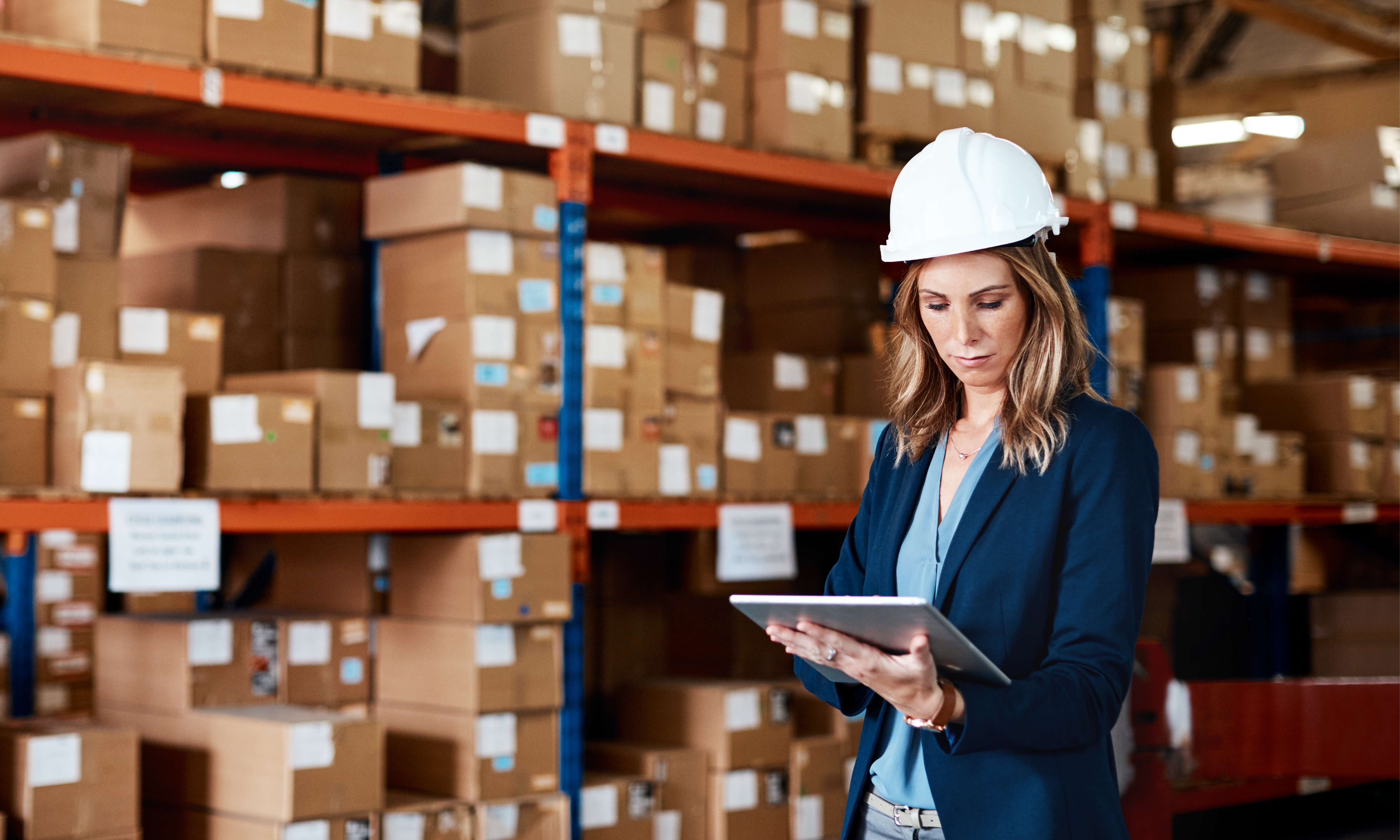 Diseño sin título (52)